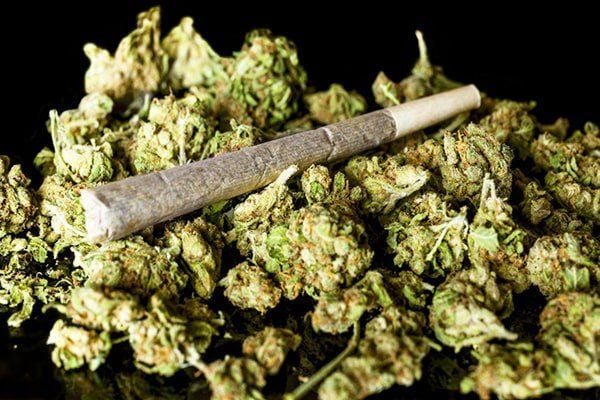 Cần Sa Tổng Hợp: Mua Ngay, Giá Cực Hấp Dẫn